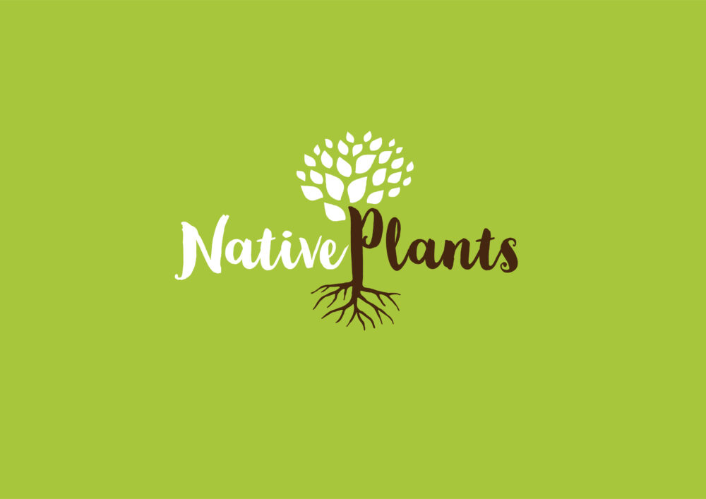 Native Plants Branding & Corporate Design